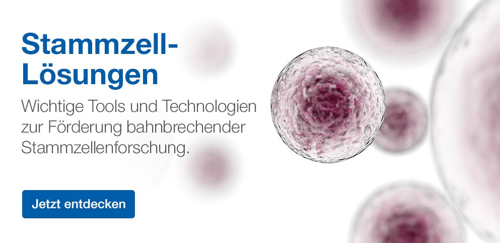 Stem Cell Therapy Solutions