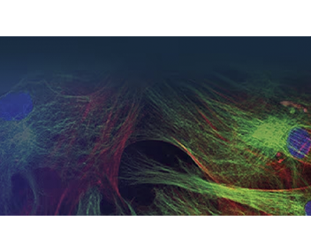 Colorants et sondes fluorescents