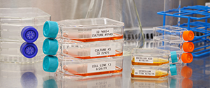 Identification des laboratoires