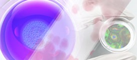 Solutions de culture cellulaire Thermo Scientific