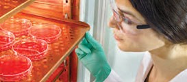 Incubateurs à CO2 Thermo Scientific