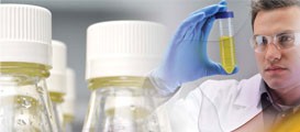 Agitateurs, bascules et rotateurs Thermo Scientific