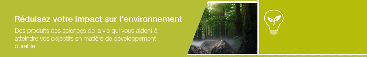 21298_WE46331-header-footprint_text_FR 21298_WE46331-header-footprint_text_FR
