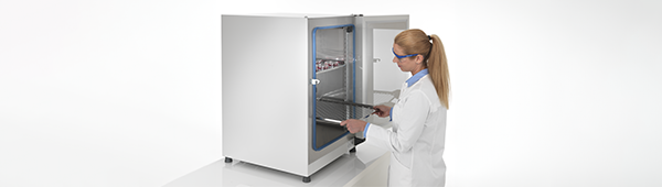 Incubateurs microbiologiques Heratherm Incubateurs microbiologiques Heratherm