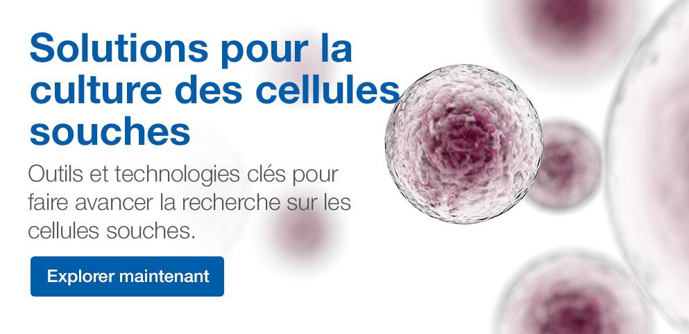 Stem Cell Therapy Solutions