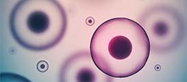 Sciences de la vie