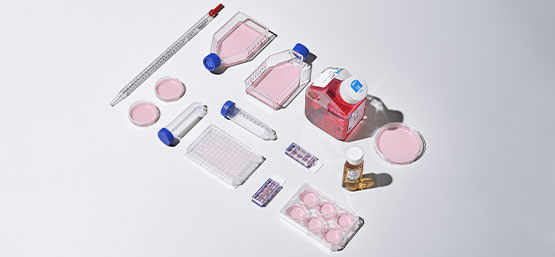 Cell Biology Promotion