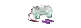 Gel Electrophoresis Equipment and Supplies
